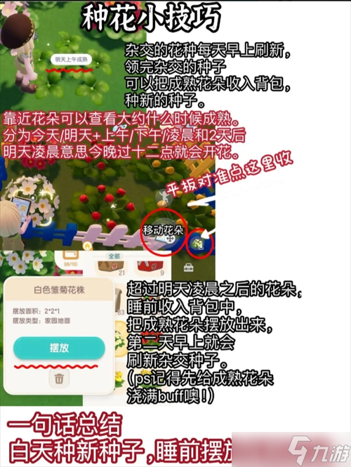 心动小镇花朵杂交摆放方法_心动小镇花朵杂交怎么摆放_