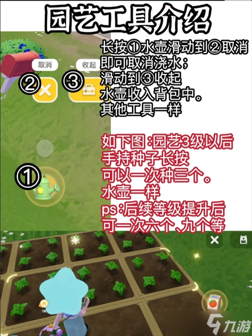 心动小镇花朵杂交怎么摆放__心动小镇花朵杂交摆放方法