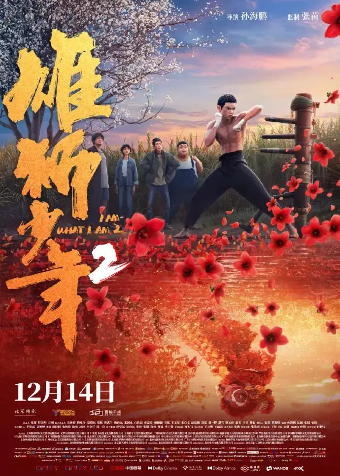 雄狮少年2豆瓣8.4分创国产动画新高，现实主义与热血格斗的完美结合