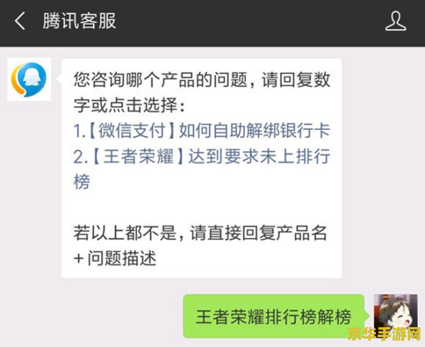 王者荣耀玩家必看：如何通过官方渠道查询违规记录，避免处罚并提升游戏体验？