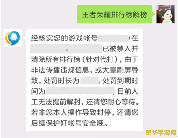 王者荣耀违规处罚查询_王者违规记录查询_