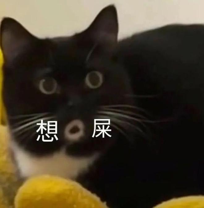 “盒武器”上分！发了7年福利的美女博主，突然被发现不是人_“盒武器”上分！发了7年福利的美女博主，突然被发现不是人_