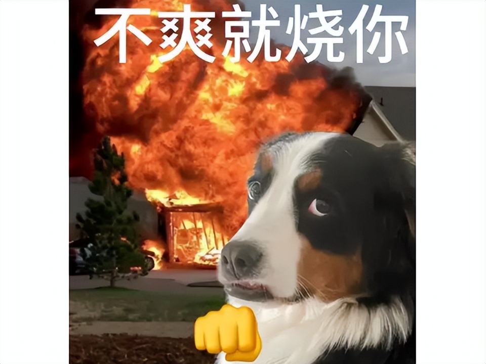 网页游戏烈焰__网游烈焰飞雪