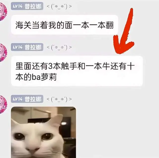 二次元说的本子是什么意思_二次元说的本子是啥意思_