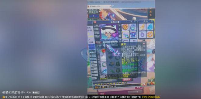 _梦幻西游指挥叶子简介_梦幻西游指挥叶子照片