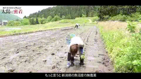 牛郎老牛耕地图_牛郎的老家_
