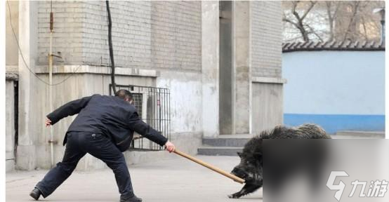野猪骑士流怎么玩__野猪骑士整装出发