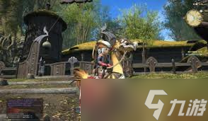 ff14陆行鸟支线任务_陆行鸟ff14获得方法_