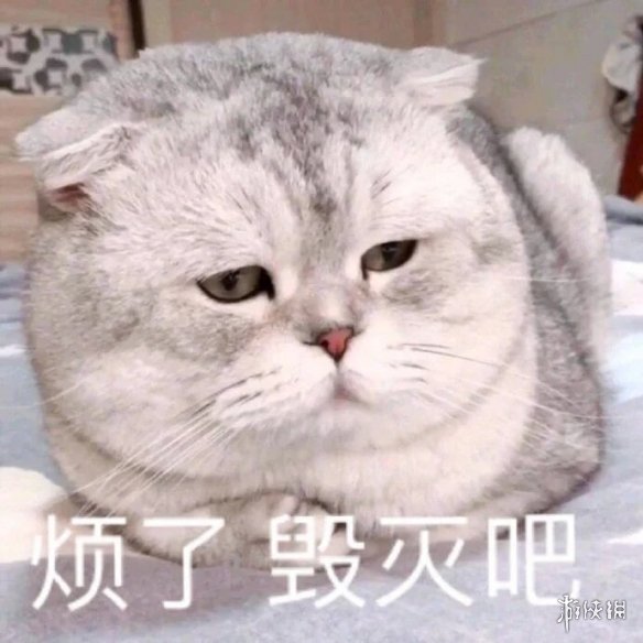 青春滨州关注公众号下载_青春滨州微信公众号_