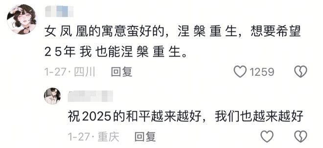 _和平精英过年会返场什么_和平精英日活