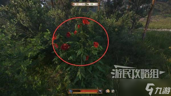 天国拯救瘟疫任务_天国拯救攻略图文攻略_