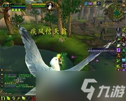_魔兽世界永恒岛上有啥_wow永恒岛在哪