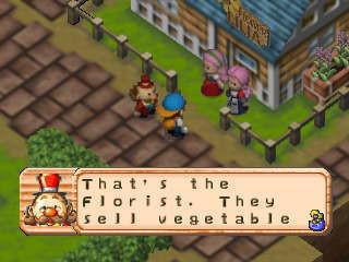 牧场物语高品质农作物__natsume牧场物语