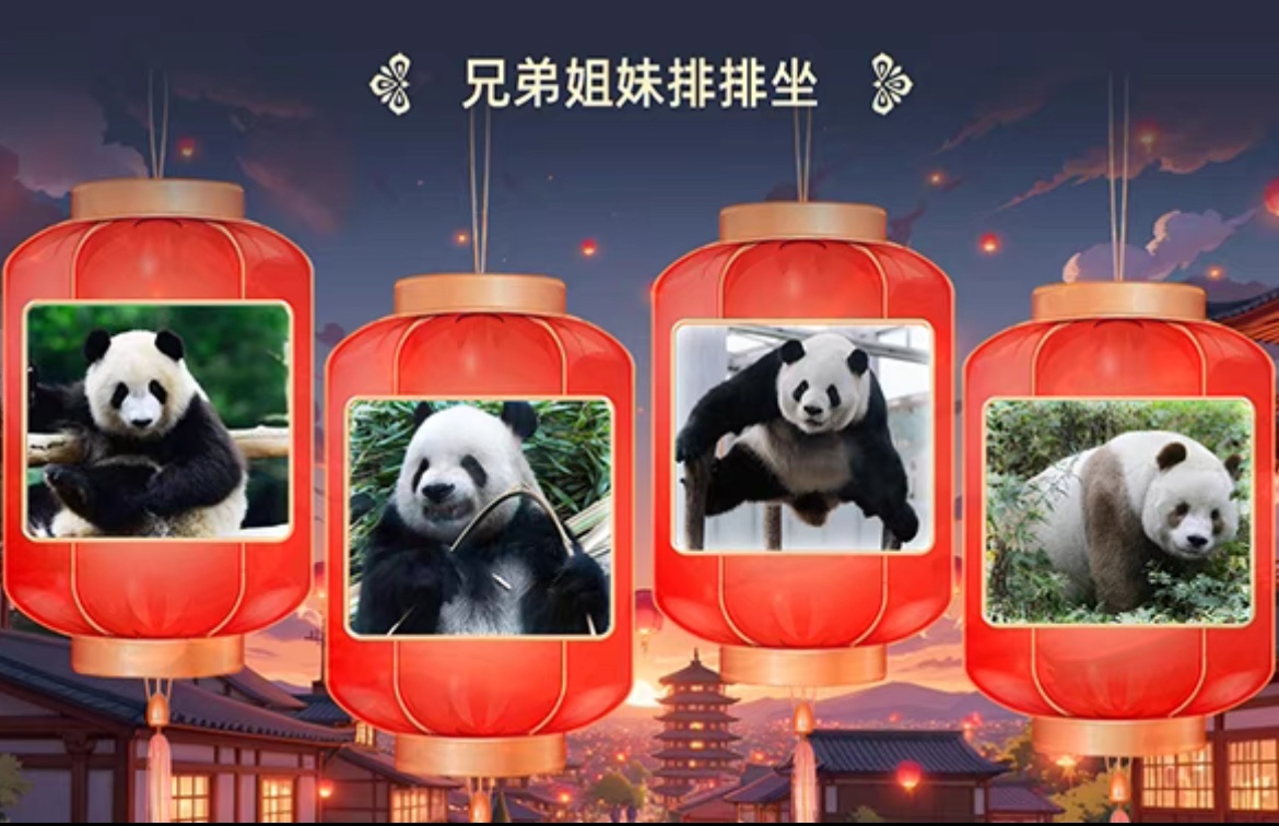 ios上的绅士app怎么用_绅士在线下载苹果手机下载_