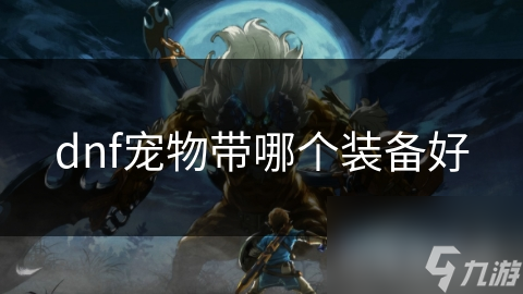 DNF玩家必看！如何选择宠物装备让你的战斗力飙升？