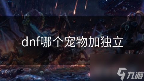 DNF玩家必看！哪些独立加成宠物能让你战斗力飙升？