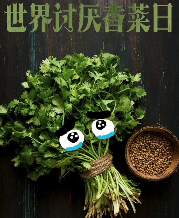 世界讨厌香菜日！你站哪一边？揭秘香菜背后的爱恨情仇