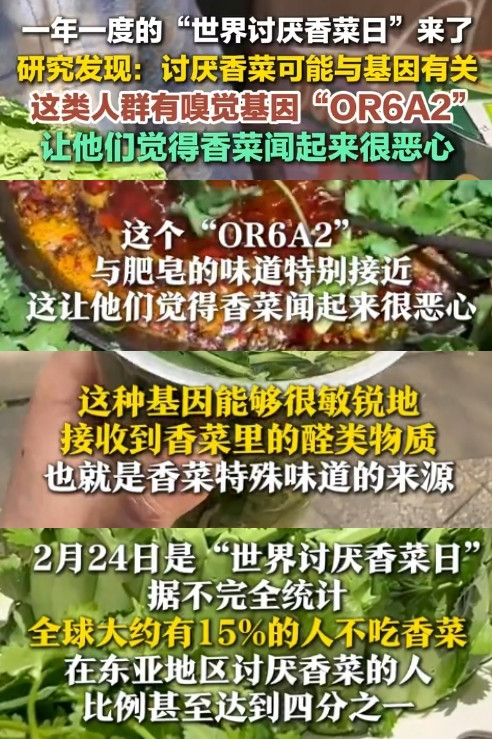 反香菜联盟怎么加入__香菜联盟什么意思