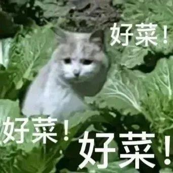 _电竞俱乐部游戏_电竞俱乐部