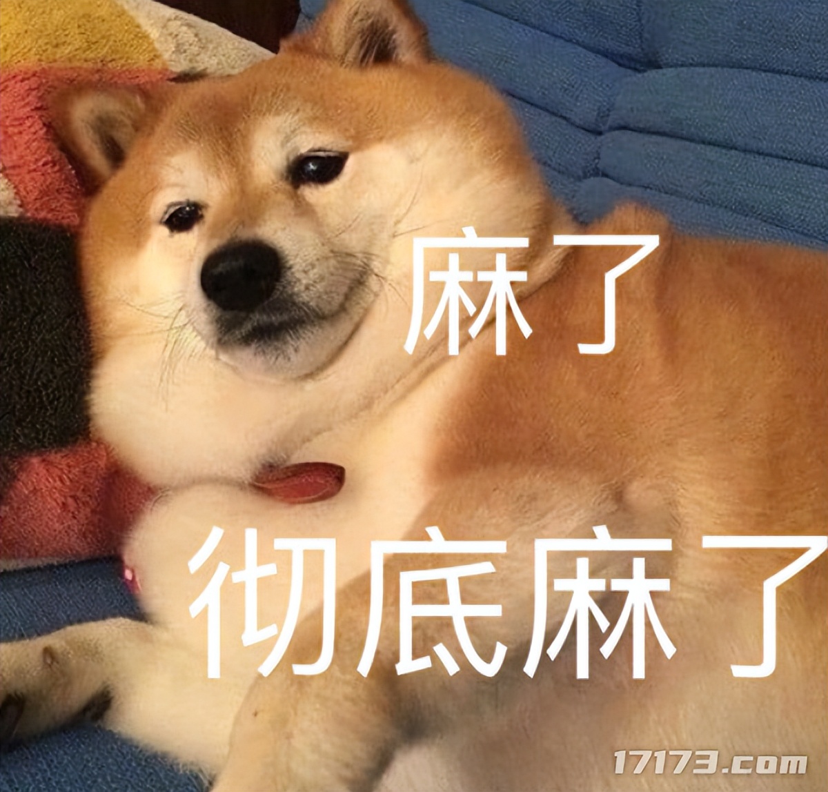 重生游戏开服前一天小说_开局重生rng_