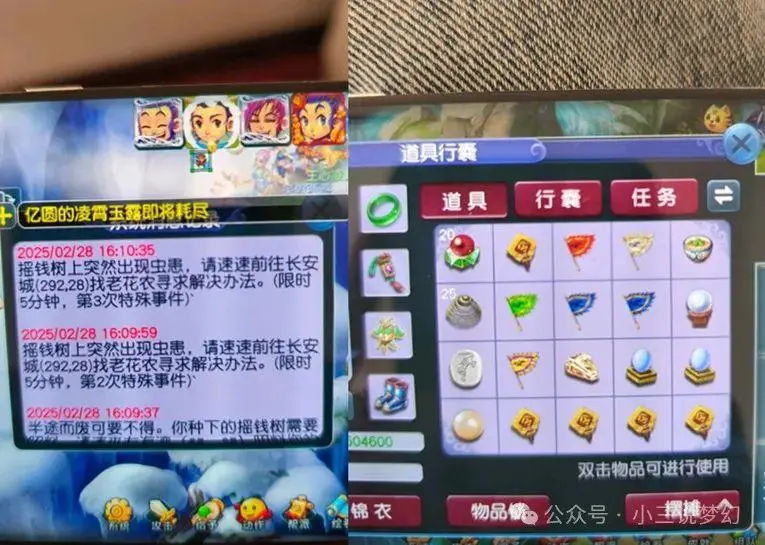 这棵树苗竟价值2000万！你也想成为下一个幸运玩家吗？