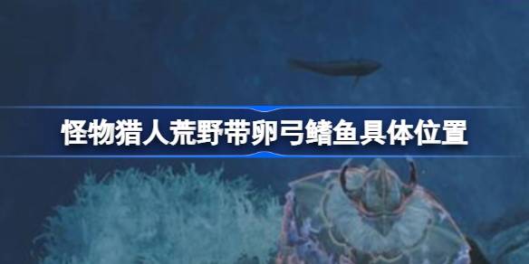 _怪物猎人荒野带卵弓鳍鱼具体位置 怪物猎人荒野带卵弓鳍鱼在哪能钓_怪物猎人荒野带卵弓鳍鱼具体位置 怪物猎人荒野带卵弓鳍鱼在哪能钓