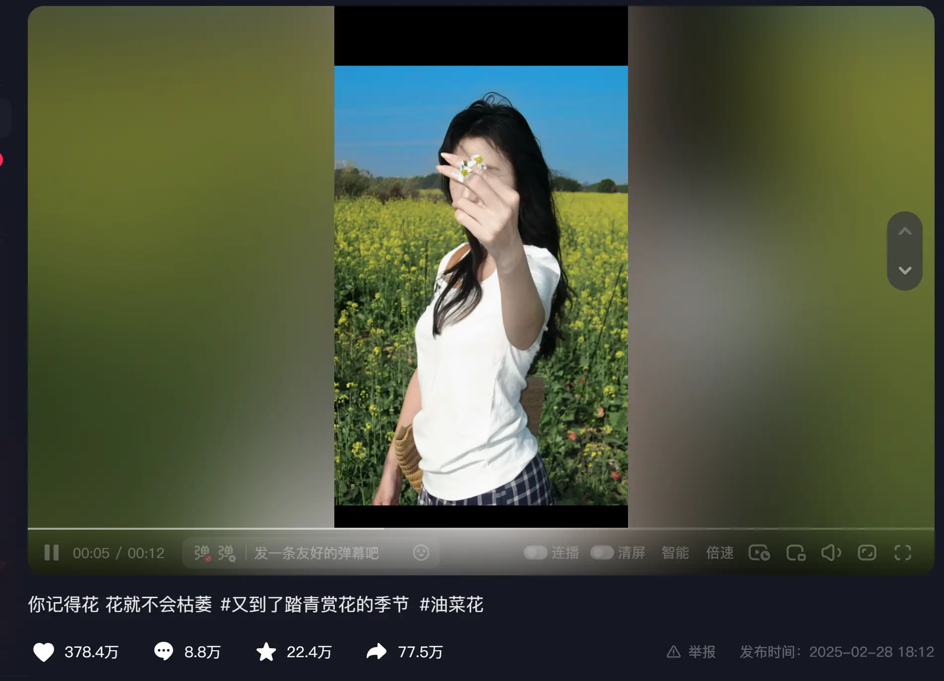_油菜花真实视频_油菜的视频