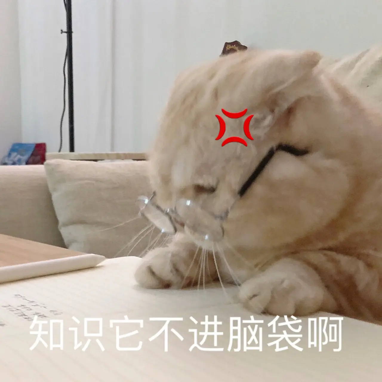 玩游戏竟然还能上课？崩坏：星穹铁道如何让玩家沉迷学习