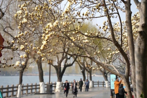 清明前后冷不冷_清明前后温度是多少_