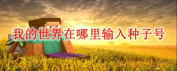 种子编号查询__种子号码是什么意思啊