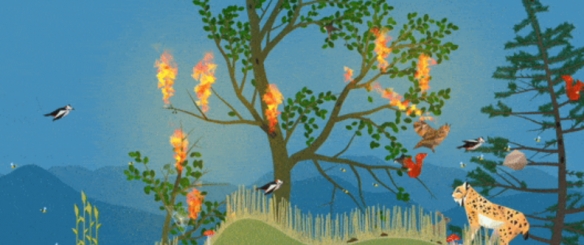 松林怎么样_松林有什么_