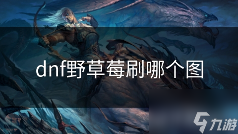 DNF玩家必看！哪个图刷野草莓效率最高？独家攻略揭秘