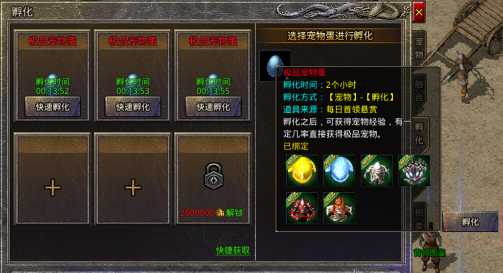 玛法攻略-宠物攻略__玛法攻略-宠物攻略
