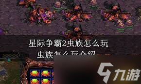 _星际争霸虫群宿主_星际争霸2群虫之心