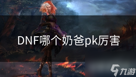 DNF奶爸职业大揭秘：圣骑士与神启者谁才是PK之王？