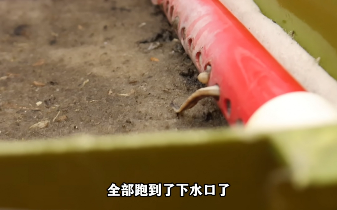 驳脚差佬里面的角色__做水产鱼缸
