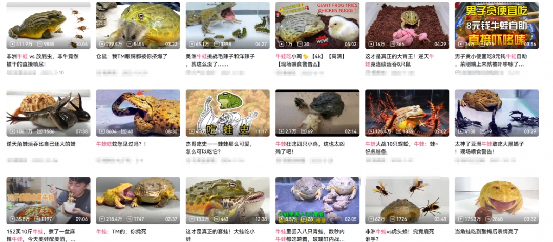 做水产鱼缸__驳脚差佬里面的角色