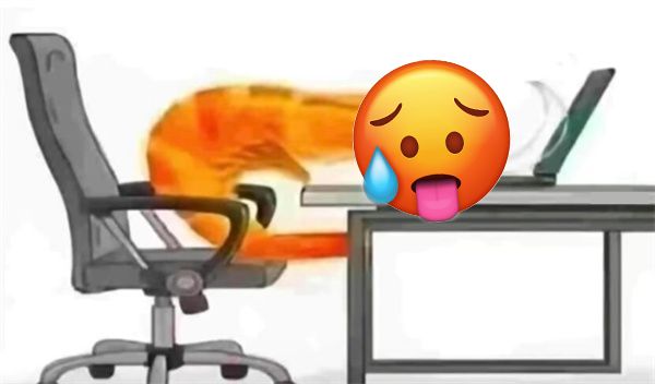 _苹果自拍杆哪个牌子好_自拍大合影