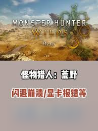 怪物猎人：荒野PC版常见问题汇总! 遇到咋解决?