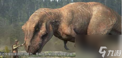 幻象拉克丝称霸战场？这份全面攻略让你轻松掌握神秘力量