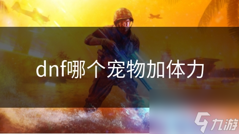 DNF中想增强角色体力？这些宠物可不容错过