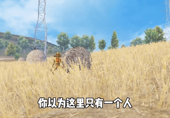 一名合格的老六，身上长稻草只是基本功罢了__一名合格的老六，身上长稻草只是基本功罢了