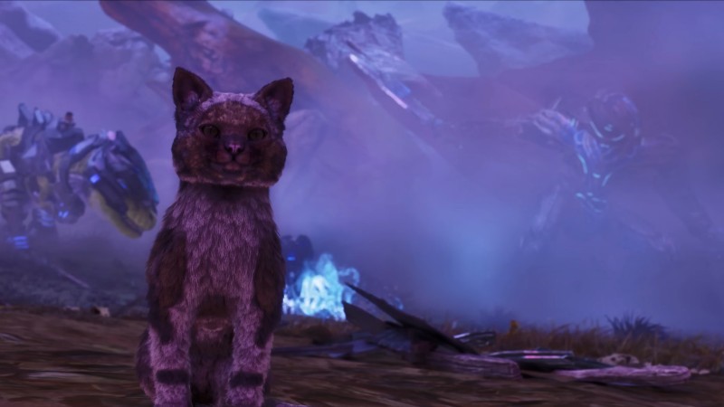 《方舟生存飞升》可爱新生物“猫”上线，性格各异，猫党狂喜_《方舟生存飞升》可爱新生物“猫”上线，性格各异，猫党狂喜_