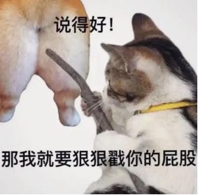 告别小土豆之后，我终于遇见属于我的蒙娜丽莎_告别小土豆之后，我终于遇见属于我的蒙娜丽莎_