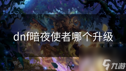 DNF暗夜使者升级哪家强?揭秘最具优势职业!