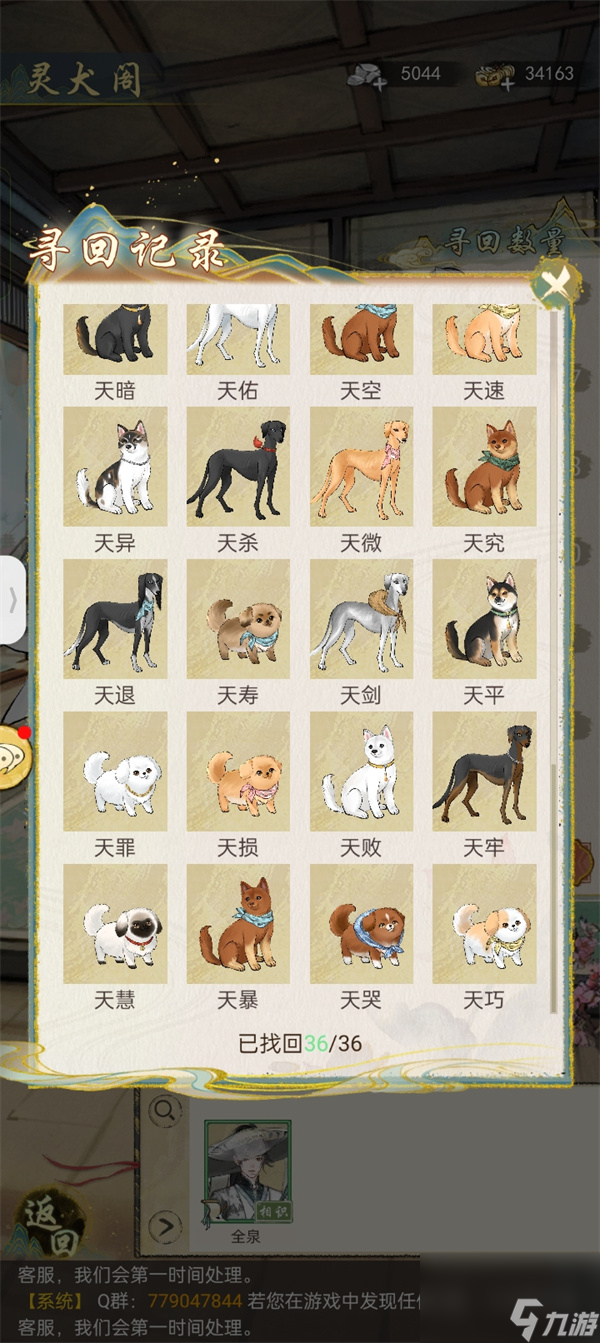 猫找猫狗找狗后面是啥__灵犬宾果电影是什么狗