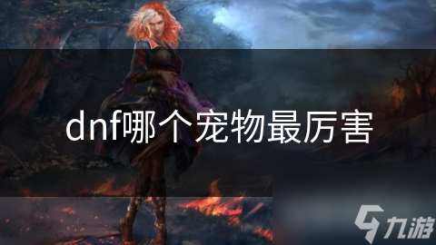 DNF宠物大揭秘：谁才是真正的战力之王？