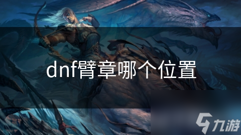 DNF臂章竟藏这些秘密！位置、作用大揭秘你知道吗？