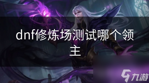 DNF修炼场领主之战：挑战极限，你能战胜这些强大怪物吗？
