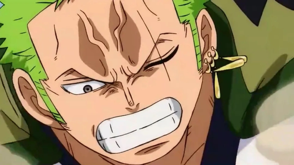 海贼草帽海贼团__海贼王草帽海贼团拍全团照